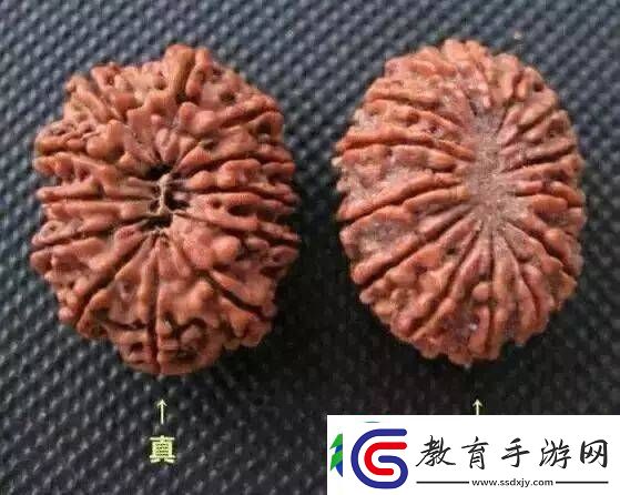 辨別金剛菩提真假