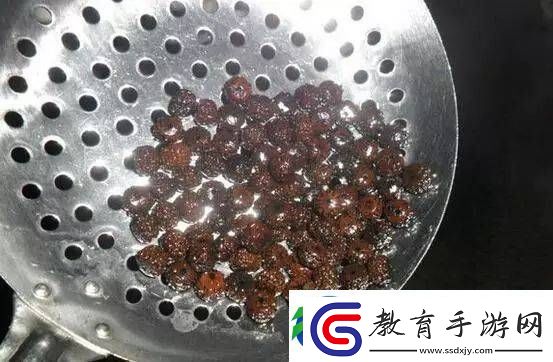 辨別金剛菩提真假