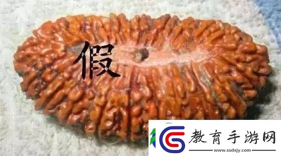 辨別金剛菩提真假