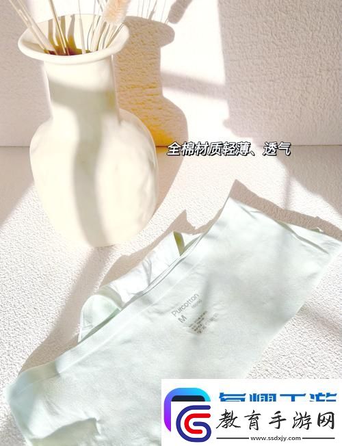 探索時尚與舒適的結合——蜜桃91精品秘?入口內褲