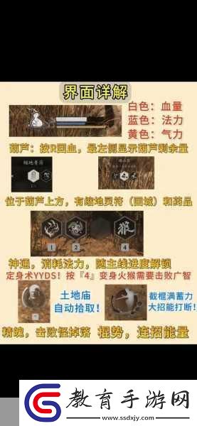 黑神話悟空畫面設置全攻略各配置打造最佳視覺盛宴