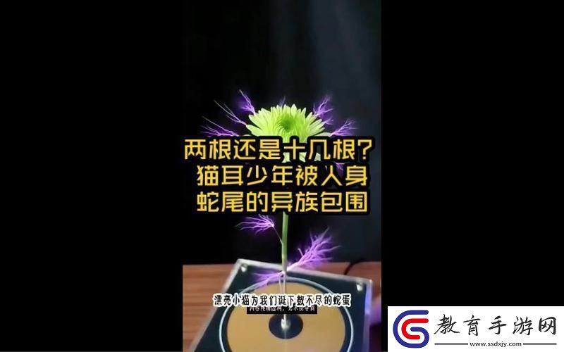 兩根還是十幾根