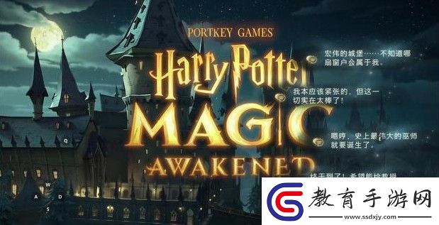 哈利波特魔法覺醒咒術(shù)流貝拉怎么玩