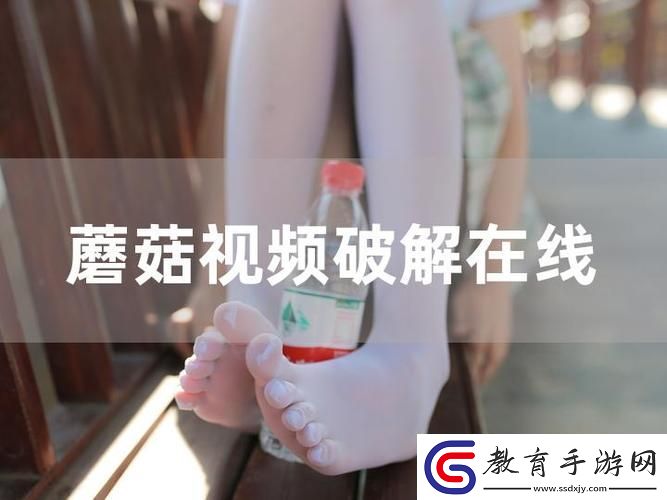 蘑菇視頻頁版入口怎么打開