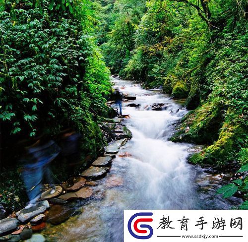睿智湖門票多少錢