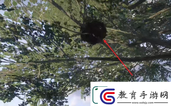 天國拯救2支線任務(wù)公平至上圖文攻略