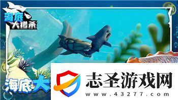 金鏟鏟之戰(zhàn)怎么升級裝備全面解析升級方法與裝備搭配技巧