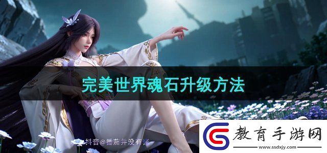 完美世界魂石怎么升級