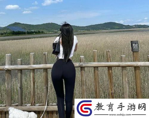 如何在菠蘿蜜在線觀看免費觀看電視上找到你喜愛的影視作品