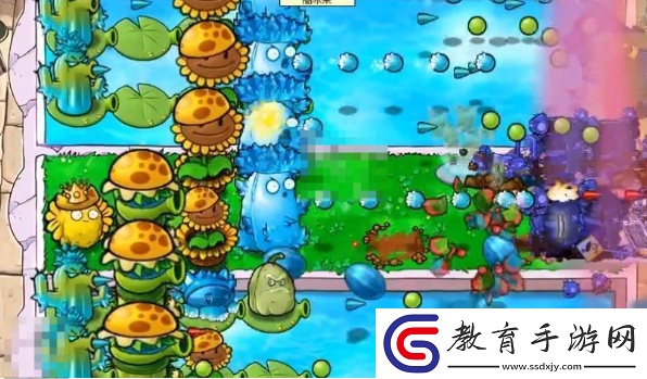 植物大戰(zhàn)僵尸雜交版挑戰(zhàn)模式第80關(guān)怎么過(guò)