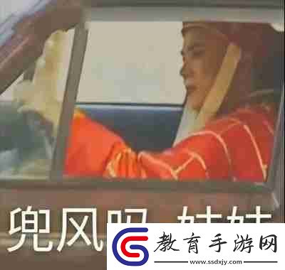 兜風(fēng)嗎妹妹表情包