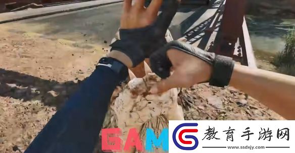 三角洲行動鱷魚有什么用