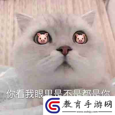 兜風(fēng)嗎妹妹表情包