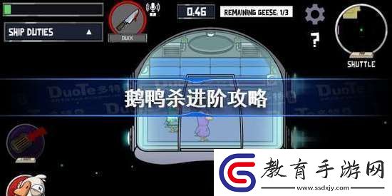 鵝鴨殺全職業(yè)進階玩法攻略