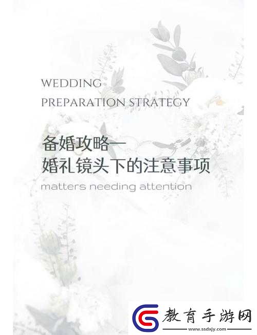 呆哥新婚蘭蘭三部曲全解析