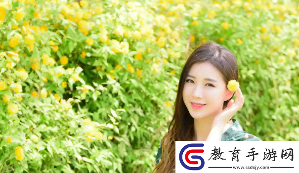 適合二人看的小電影南瓜