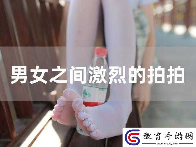 十大拍拍拍拍拍拍拍是什么