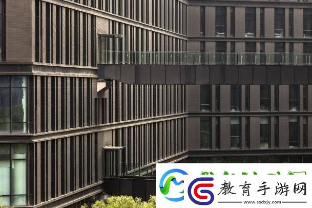 丁磊重掌易游戲