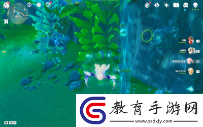 原神神奇的沉浮球解密方法指南
