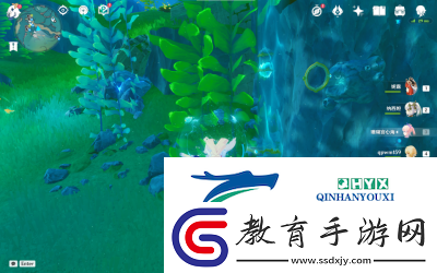 原神神奇的沉浮球解密方法指南