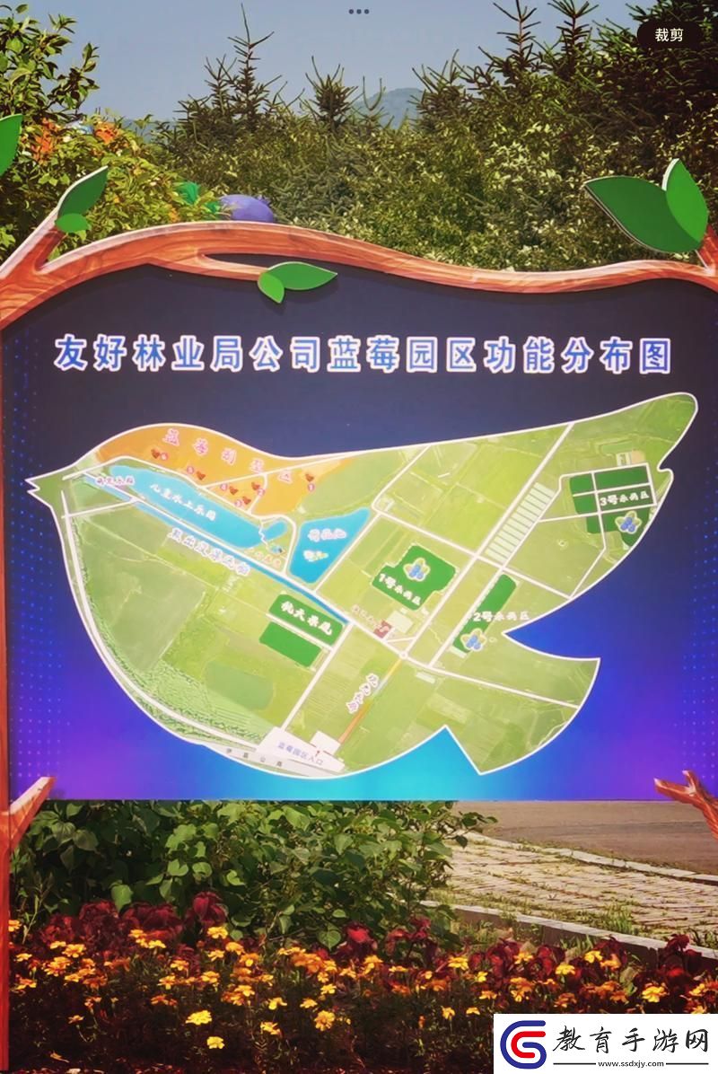 伊春園2023入口直達更新了平臺