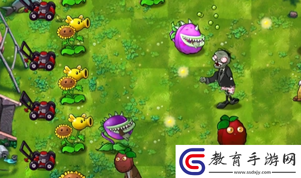 植物大戰僵尸融合版向日葵豌豆有什么用