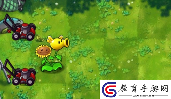 植物大戰僵尸融合版向日葵豌豆有什么用
