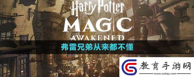 哈利波特