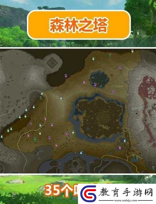 手殘黨必看！塞爾達雙子記憶順序保姆級攻略