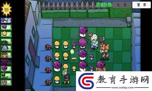 老外迫不及待了!明末新視頻引熱議