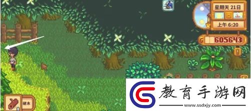 星露谷物語蕨菜怎么獲取