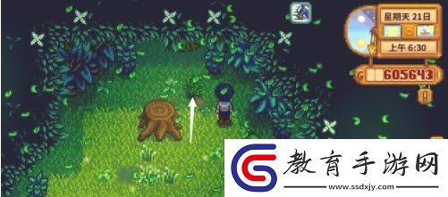 星露谷物語蕨菜怎么獲取