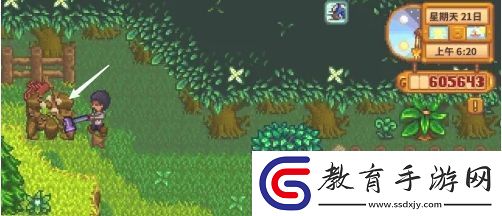 星露谷物語蕨菜怎么獲取