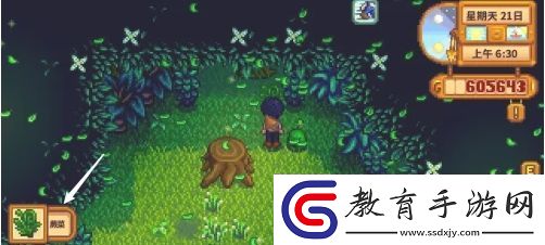 星露谷物語蕨菜怎么獲取