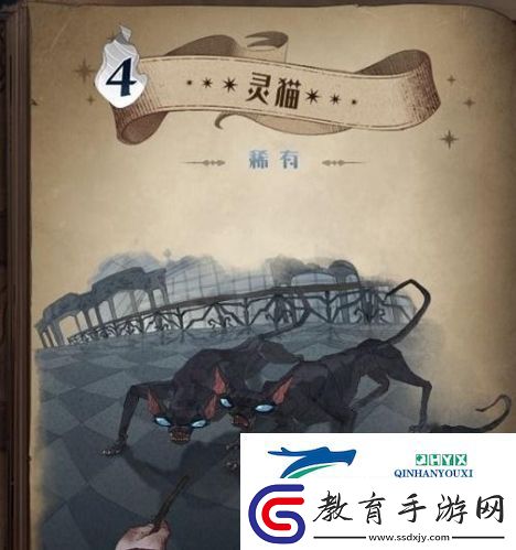 哈利波特魔法覺醒怎么白嫖卡片