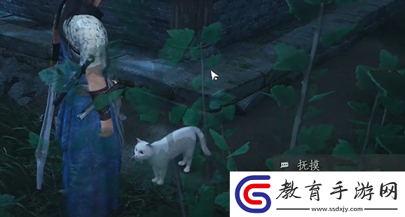 燕云十六聲將軍祠貓咪在哪