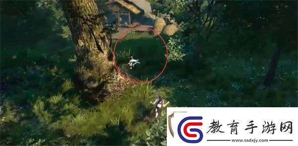 逆水寒手游茶攤上的江湖奇遇攻略