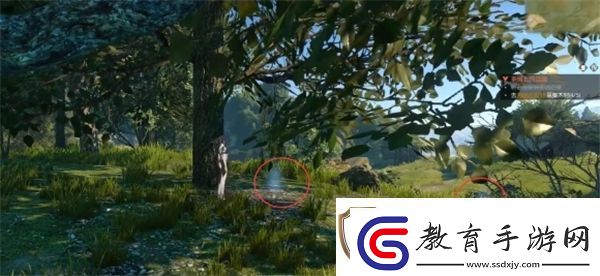逆水寒手游茶攤上的江湖奇遇攻略