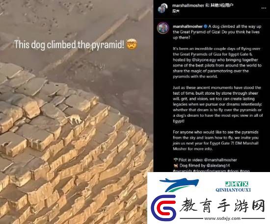 游你扯淡