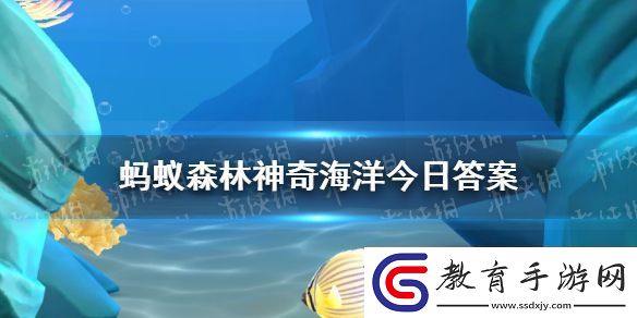 猜一猜奶嘴海葵之所以得名是因為