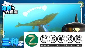 造夢西游2最好的裝備如何選擇與搭配